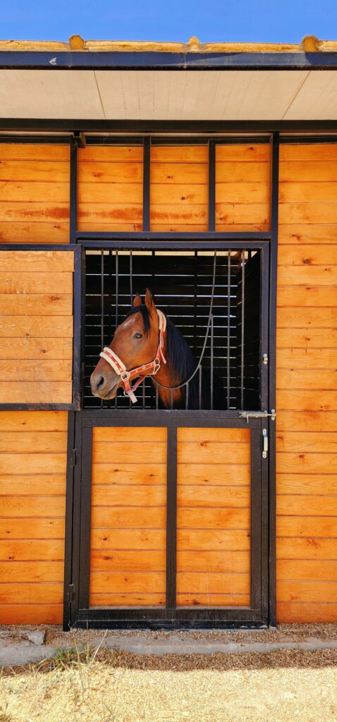 Boxes de madera con caballo asomado